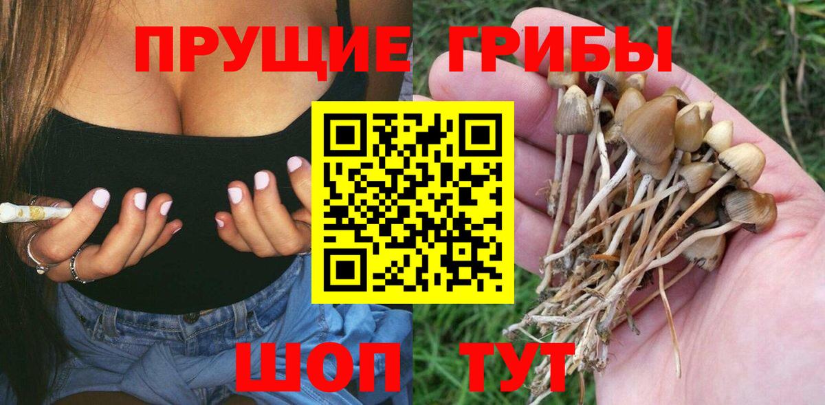 Мариинск  где можно купить   Вход с VPN  Галлюциногенные грибы GOLDEN TEACHER 